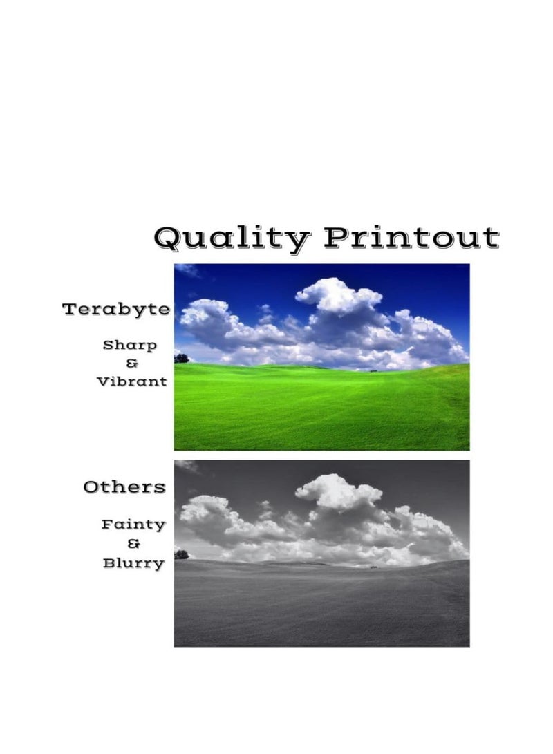 Terabyte W2300A W2301A W2302A W2303A-230A Compatible Toner Cartridges for HP Laserjet Pro 4203|M4201|M4202|M4203|M4301|M4302|M4303| 4x Multicolor | 2,000 Pages - Image 3