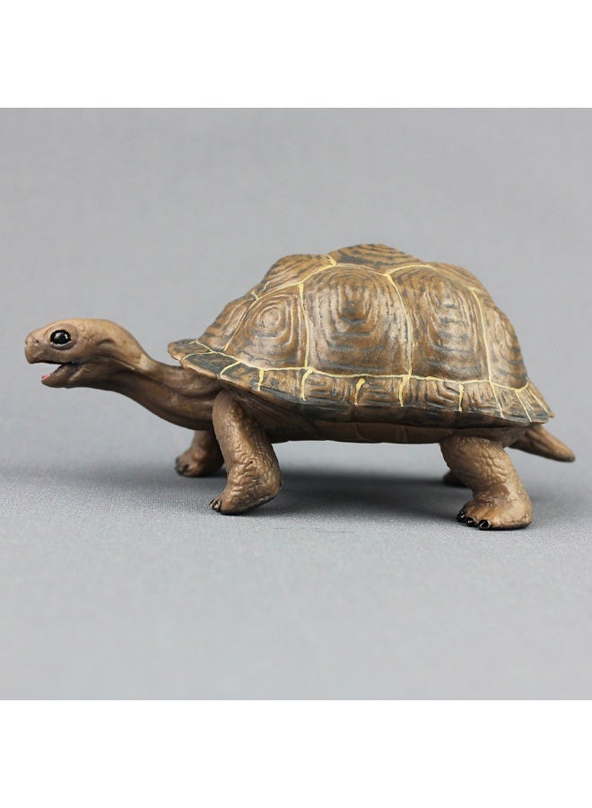 NIBEMINENT Realistic Turtle Model - Lifelike Toy for Kids