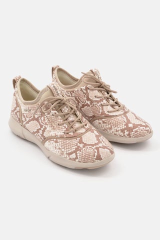 Women Nebula Lace Up Casual Shoes, Beige Combo - pzsku/ZE03BB23CB00387A4F15AZ/45/1746452258/3aacd2c1-549b-417b-9d5b-25e8a47719db