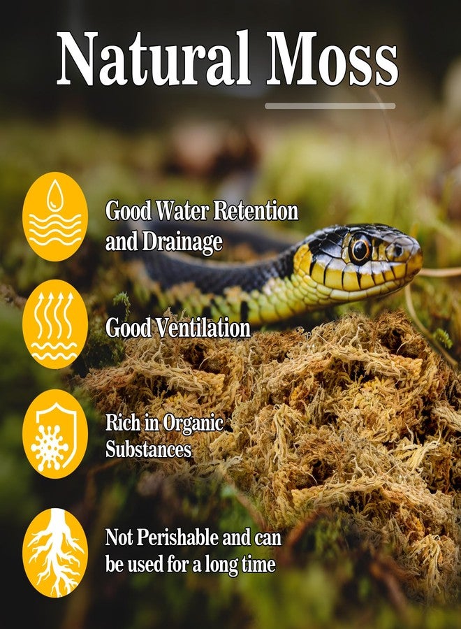 RAINFLOW Sphagnum Moss for Reptiles - 5.6 OZ Reptile Peat Moss for Terrarium Bedding Reptiles Snake Substrate for Reptile Tank, Snake, Leopard Gecko, Ball Python, Crested Gecko, Turtle, Frog, Hamster - Image 2