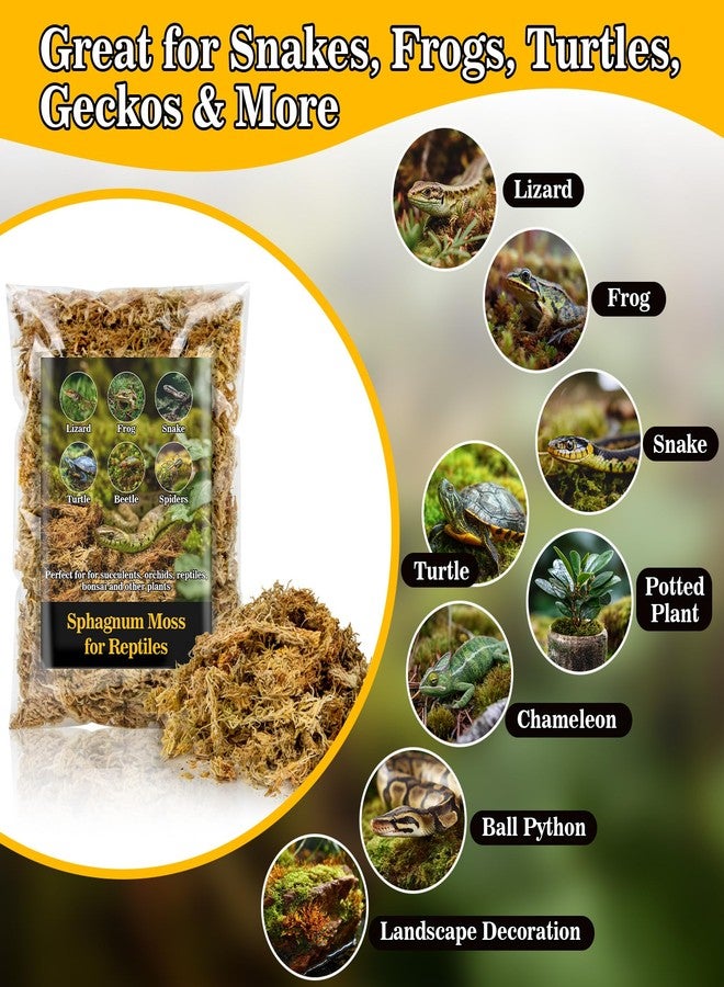 RAINFLOW Sphagnum Moss for Reptiles - 5.6 OZ Reptile Peat Moss for Terrarium Bedding Reptiles Snake Substrate for Reptile Tank, Snake, Leopard Gecko, Ball Python, Crested Gecko, Turtle, Frog, Hamster - Image 4