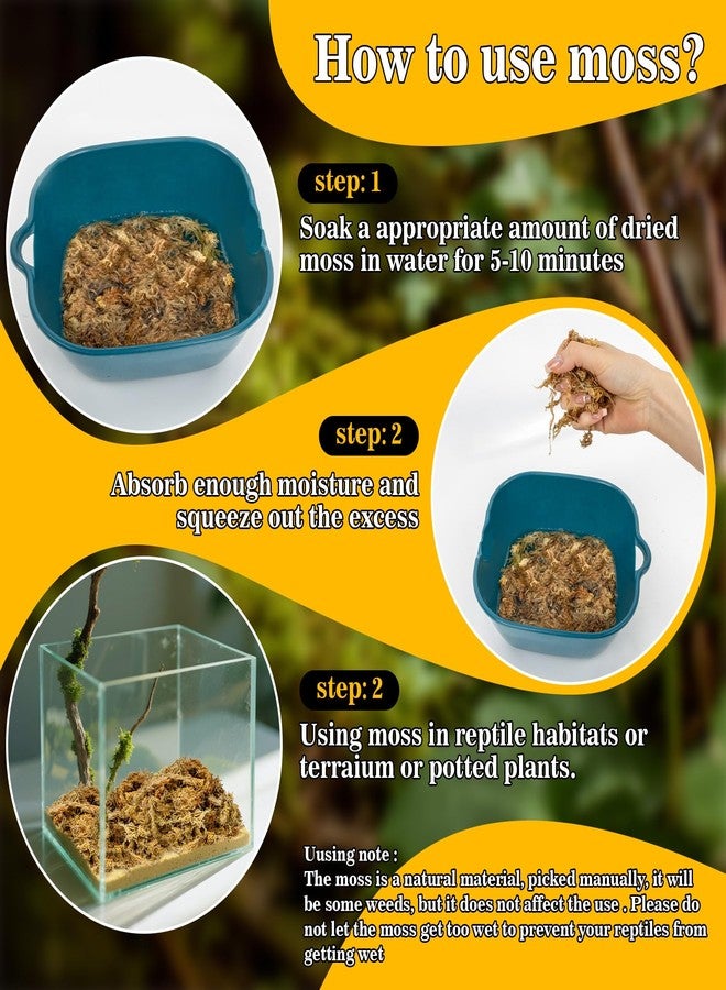 RAINFLOW Sphagnum Moss for Reptiles - 5.6 OZ Reptile Peat Moss for Terrarium Bedding Reptiles Snake Substrate for Reptile Tank, Snake, Leopard Gecko, Ball Python, Crested Gecko, Turtle, Frog, Hamster - Image 5
