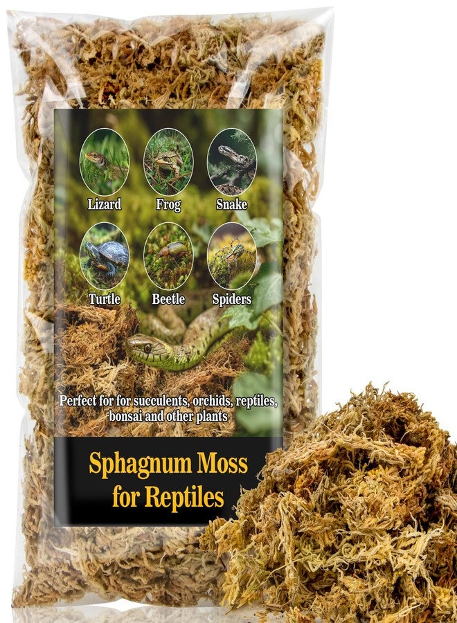 RAINFLOW Sphagnum Moss for Reptiles - 5.6 OZ Reptile Peat Moss for Terrarium Bedding Reptiles Snake Substrate for Reptile Tank, Snake, Leopard Gecko, Ball Python, Crested Gecko, Turtle, Frog, Hamster - Image 1
