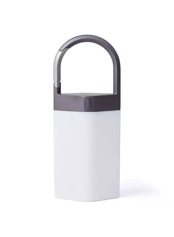 LEXON Horizon Hanging Portable LED Lamp With 7 Light Colors And Touch Control Dimmer