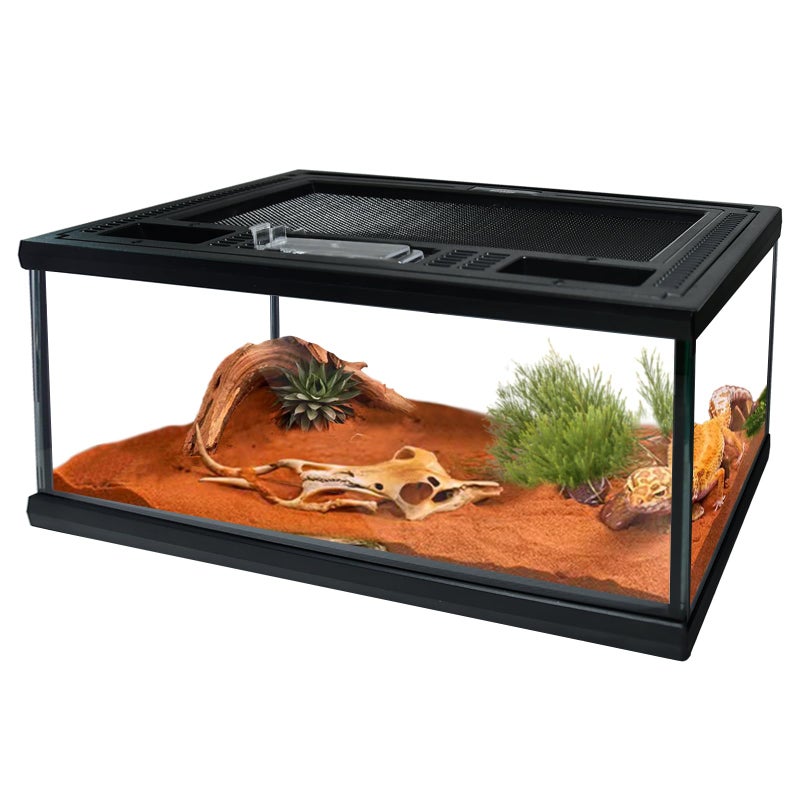 waazoorep Reptile Glass Terrarium Tank 1286Small Cage Full View with Top Screen Ventilation Habitat Enclosure for TarantulaFrogGeckoInsectsSpidersSnakesHermit CrabTurtleBall Python - Image 2