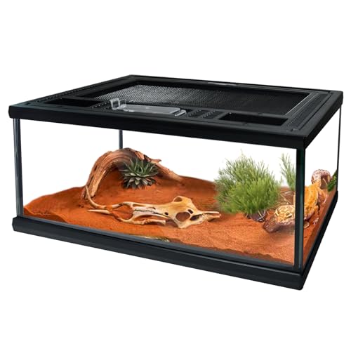 waazoorep Reptile Glass Terrarium Tank 1286Small Cage Full View with Top Screen Ventilation Habitat Enclosure for TarantulaFrogGeckoInsectsSpidersSnakesHermit CrabTurtleBall Python - Image 1