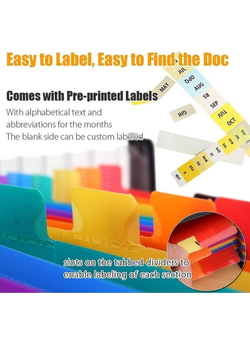 Expanding File Folder 24 Pockets, Multi-Color Accordion A4 Document Organizer with Expandable Wallet Stand – Works on A4 Size and Letter Size - Image 2