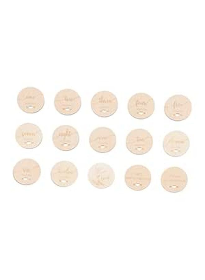 Natural Wood Baby Milestone Cards Set of 15 Discs for First Year Photo Props and Birthday Gift - Image 1