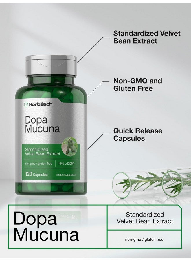 Horbäach Dopa Mucuna Supplement | 120 Capsules | Velvet Bean Herbal Extract | 15% L-Dopa | Non-GMO & Gluten Free - Image 4