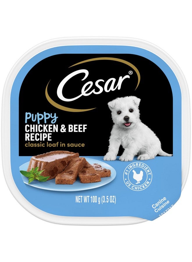 Cesar Puppy Wet Dog Food Classic Loaf In Sauce Chicken & Beef Recipe, (24) 3.5 Oz. Easy Peel Trays - Image 1