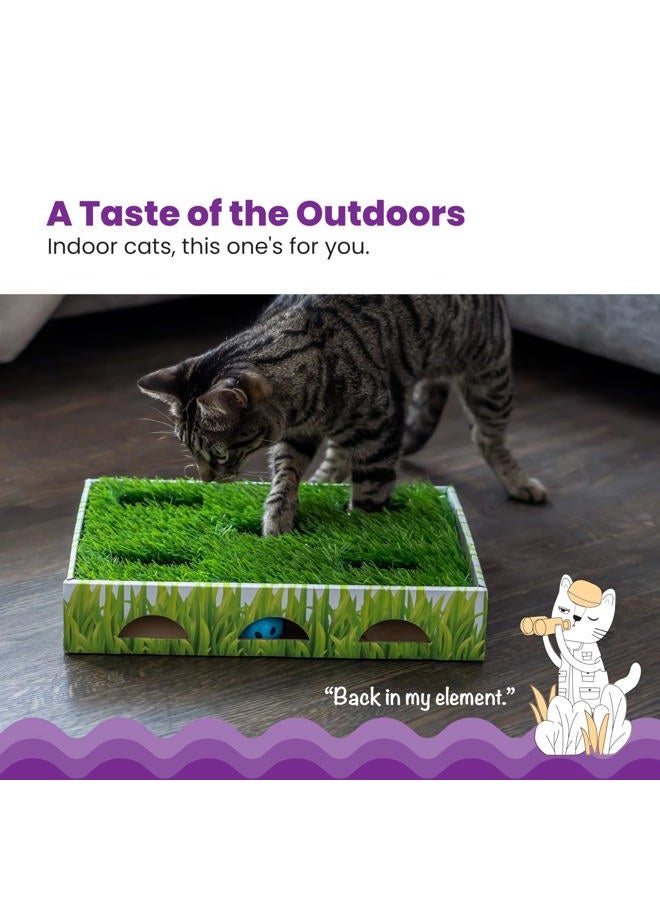 Catstages Pet Stages Grass Patch Hunting Box, 14 x 2.5 x 10 inches - Image 3