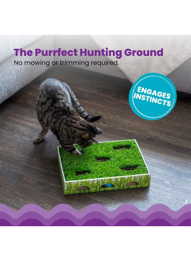 Catstages Pet Stages Grass Patch Hunting Box, 14 x 2.5 x 10 inches - Image 4