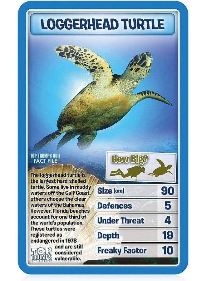 توب ترامبس مخلوقات لعبة الورق الكلاسيكية العميقة ، تعرف على حقائق عن قنديل البحر الأزرق والأخطبوط وطيور البطريق في هذه اللعبة التعليمية المليئة بالهدايا واللعبة للأولاد والبنات الذين تتراوح أعمارهم بين 6 سنوات - Image 3