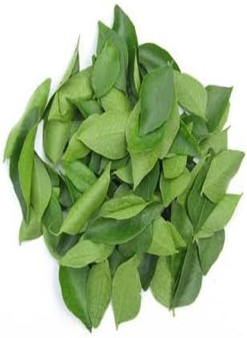 GGOOT 50pcs Fresh Curry Leaf Vegetable Seeds - Image 2