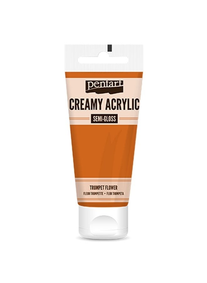 Creamy Acrylic Paint Semi Gloss 200ml Trumphet Flower - pzsku/ZE04BC722CEFC265A6800Z/45/_/1736666640/9f7a8d28-be64-4e09-94bc-97c3a042f444