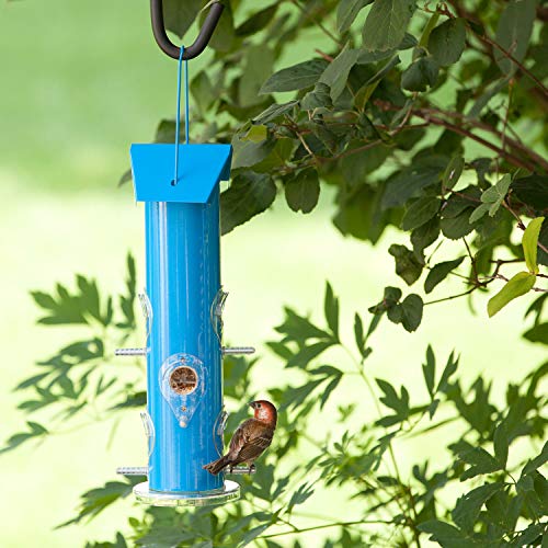 Perky-Pet Blue Metal Tube Wild Bird Feeder - 1 lb Capacity for Wild Bird Seed - Durable Construction - 391 - Image 4