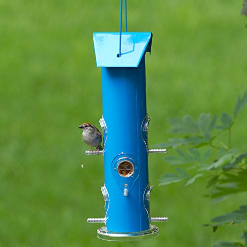 Perky-Pet Blue Metal Tube Wild Bird Feeder - 1 lb Capacity for Wild Bird Seed - Durable Construction - 391 - Image 5