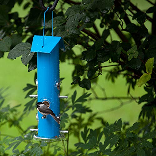 Perky-Pet Blue Metal Tube Wild Bird Feeder - 1 lb Capacity for Wild Bird Seed - Durable Construction - 391 - Image 3