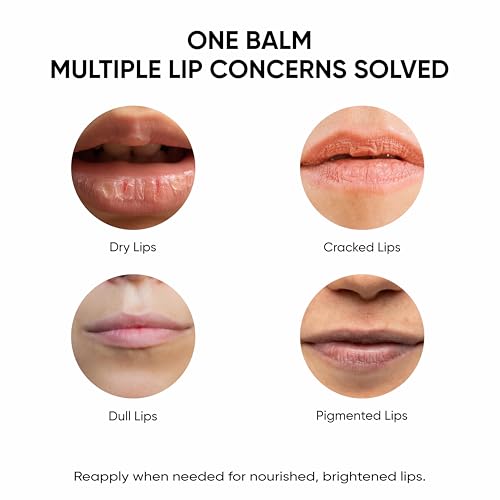 Masofta Shea Butter Lip Balm with Kojic Acid, Alpha Arbutin & Shea Butter for Smooth, Crack Free & Clear Lips, SPF 30 PA++, For Men & Women, 0.52 oz/15GMS - Image 3