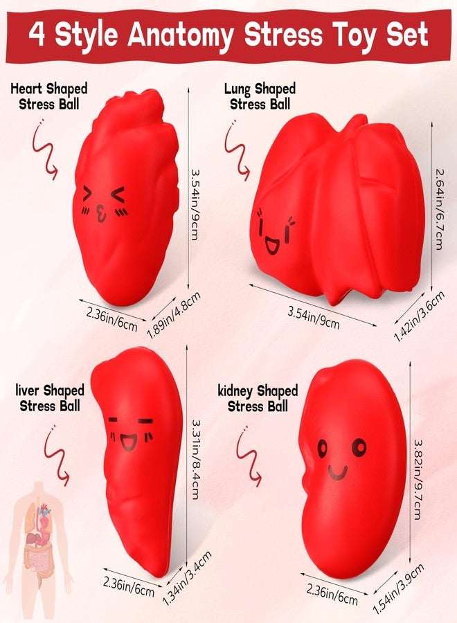 Arrowbash كرات تخفيف التوتر من Arrowbash، مجموعة من كرات الشكر والتقدير للممرضات، هدايا لمساعدي التمريض، هدايا لممارسي التمريض، هدايا لفريق العمل الطبي للبالغين (20 قطعة، تصميم رائع) - Image 2