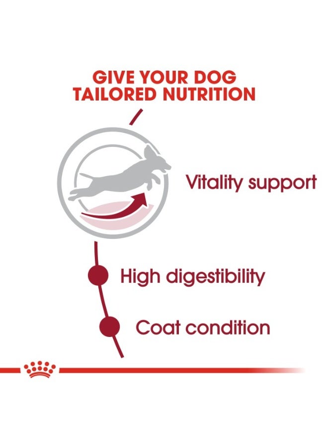 ROYAL CANIN Size Health Nutrition Medium Adult 7+ 10 KG - Image 2