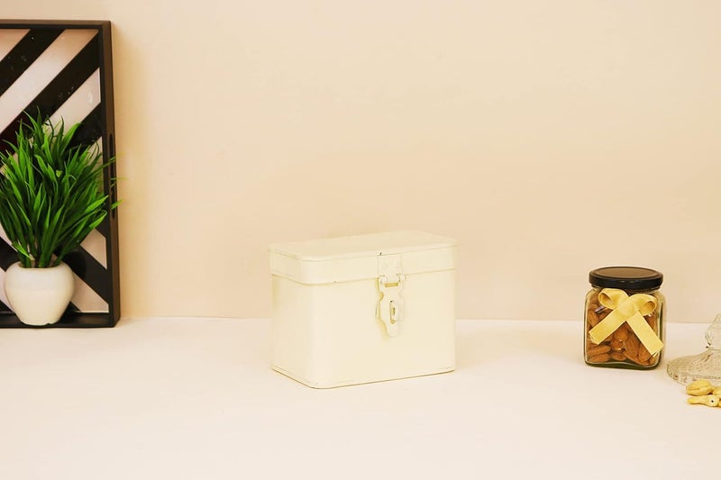 INDIAN ARTISANS INDIAN ARTISANS Metal Gift Trunk BoxMini TrunkColour CreamSize 6 inch  - Image 1