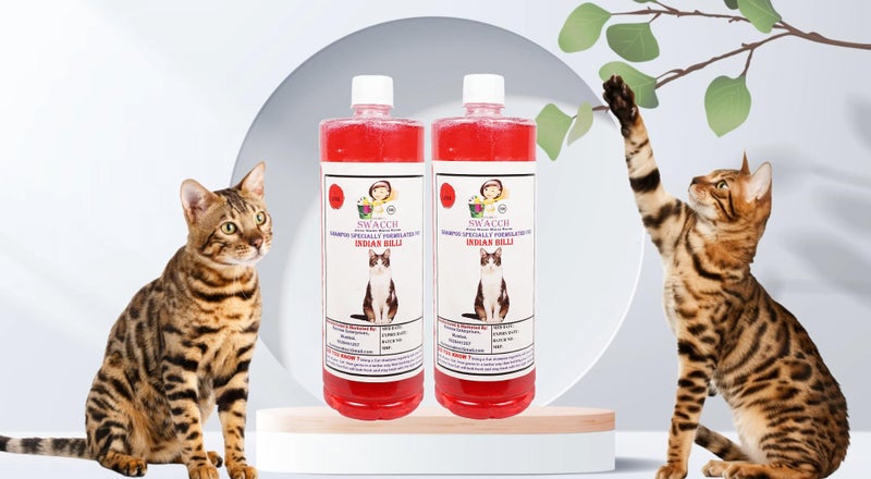 Swacch Shampoo Specially Formulated for Indian Billi (1 Litre) (Pack of 2) Jasmine - Image 1