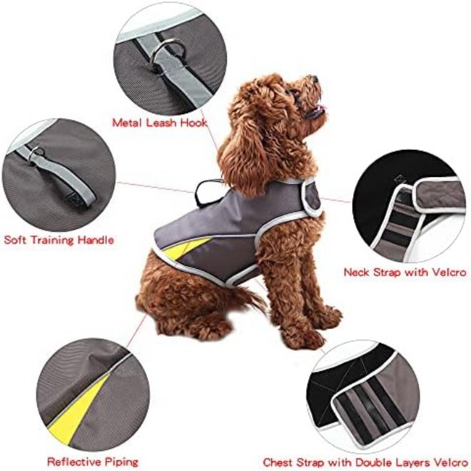 Winbate Dog Anxiety Jacket Keep Calming Vest Thunder Coat with D-Ring and Training Handle for Small Dogs - Image 3