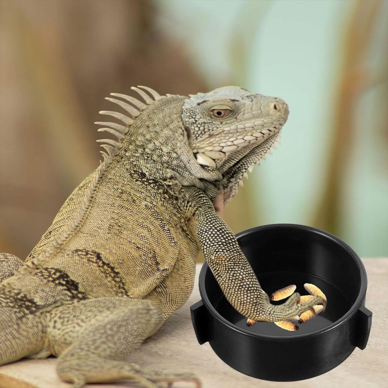 4pcs Ceramic Reptile Food and Water Bowls Set for Lizards and Bearded Dragons, Sturdy Worm Feeding Dishes Suitable for Terrariums and Amphibian Pets - Image 5