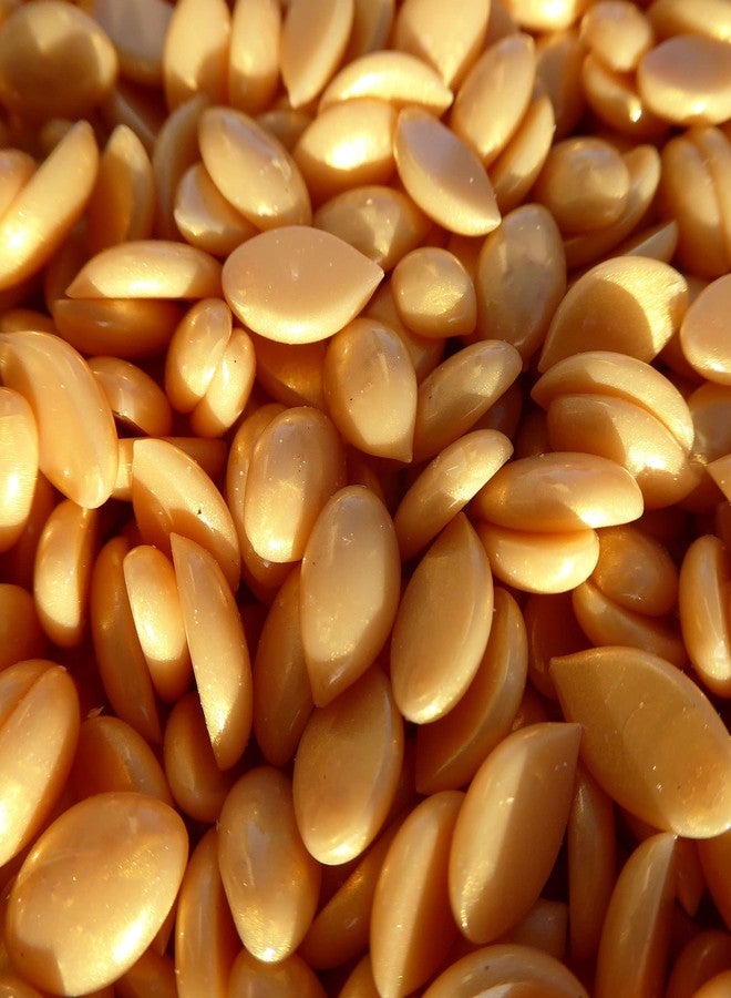 Waxness Premium Gold Rush Hard Wax 1.65 lb / 750 g - Image 5