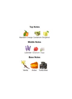 باريس هيلتون عطر جولد راش للرجال 100 مل  - Image 4