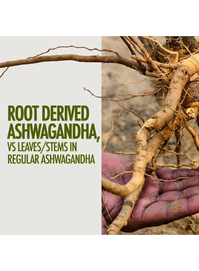 Kapiva Ashwagandha Gold Capsules, Helps Stress Management, Improve Energy, Stamina For Men And Women 60 Capsules - Image 4