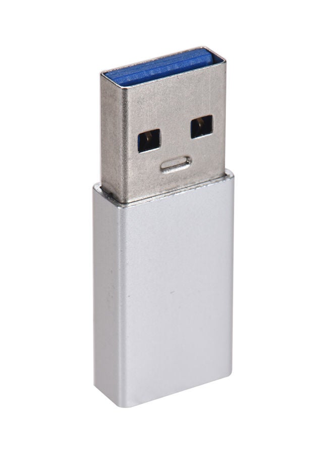 NIBEMINENT 2-In-1 Data Converter Charging Adapter Silver - Image 1