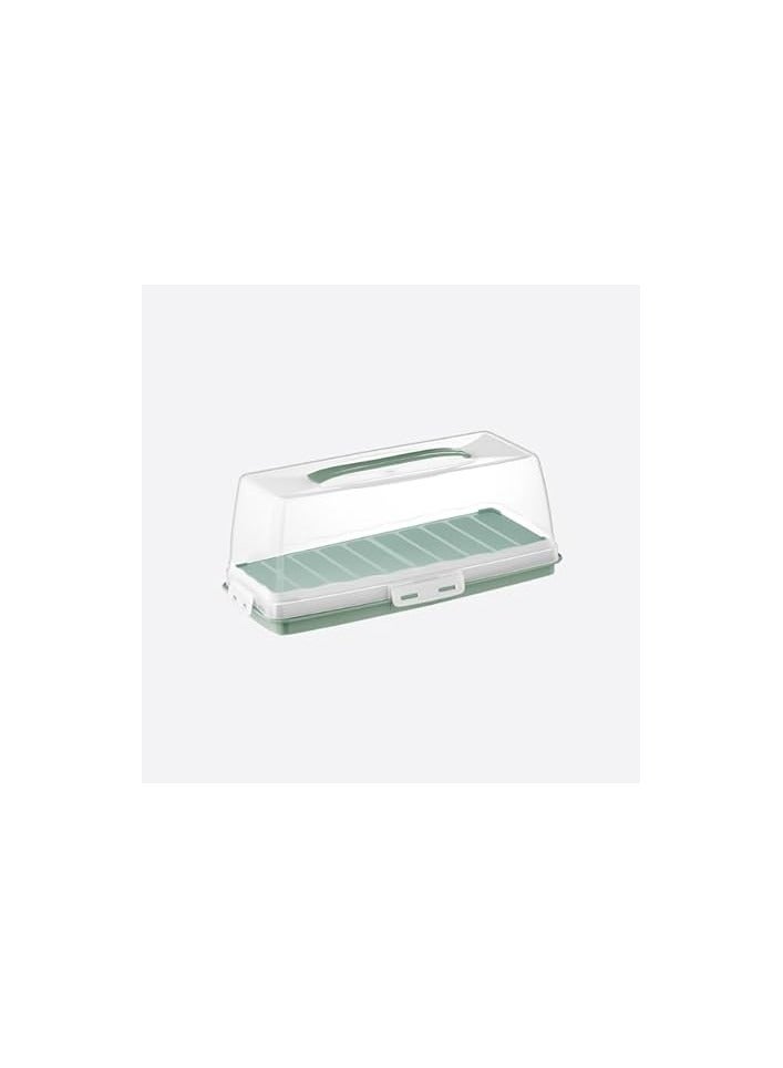 dunya High Quality Plastic Rectangle Cake & Toast Carrier Box With Clip Lock Cover-BPA Free-(37 * 7.5cm)-Turkey Made Green - Image 1