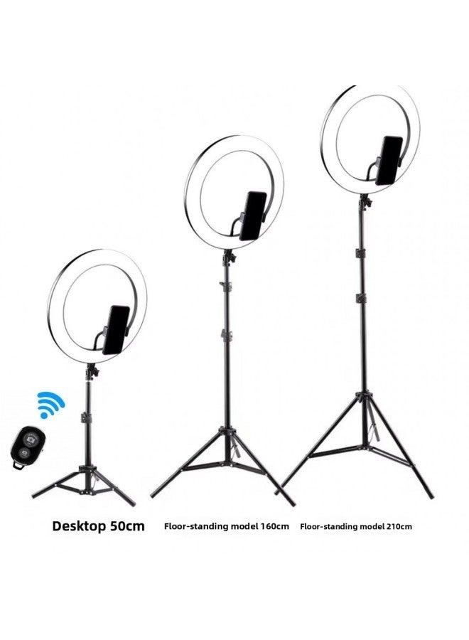 general E-commerce 14-inch Fill Light Beauty Light Makeup Ring Light 12-inch 30cm Fill Light Net Red Live Light Female-Color:30cm Ring Lamp + Gimbal + Hose Phone Clip +50cm Tripod  - Image 3
