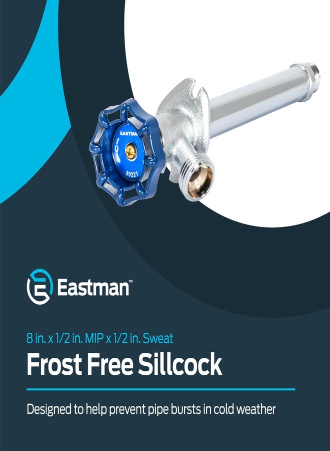 إيست مان صمام إيستمان المقاوم للصقيع مقاس 8 بوصات، مقاس 1/2 بوصة MIP × 1/2 بوصة Sweat، أزرق، 80221 - Image 2