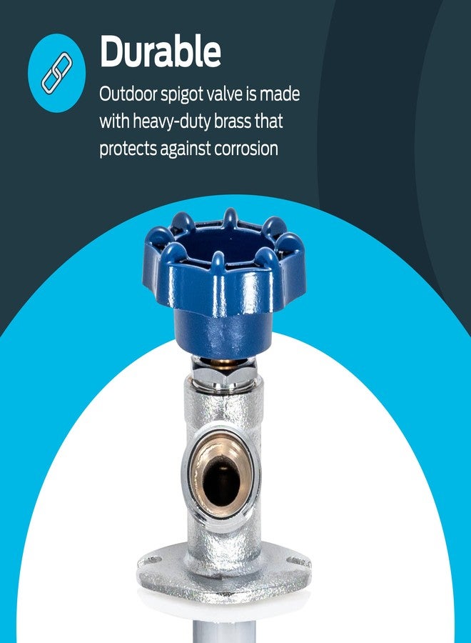 إيست مان صمام إيستمان المقاوم للصقيع مقاس 8 بوصات، مقاس 1/2 بوصة MIP × 1/2 بوصة Sweat، أزرق، 80221 - Image 4