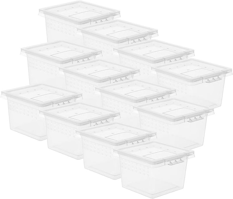 20 قطعة من صناديق تربية الزواحف الشفافة من مادة البولي بروبيلين، حاويات تغذية وحفظ الثعابين والسحالي - Image 1