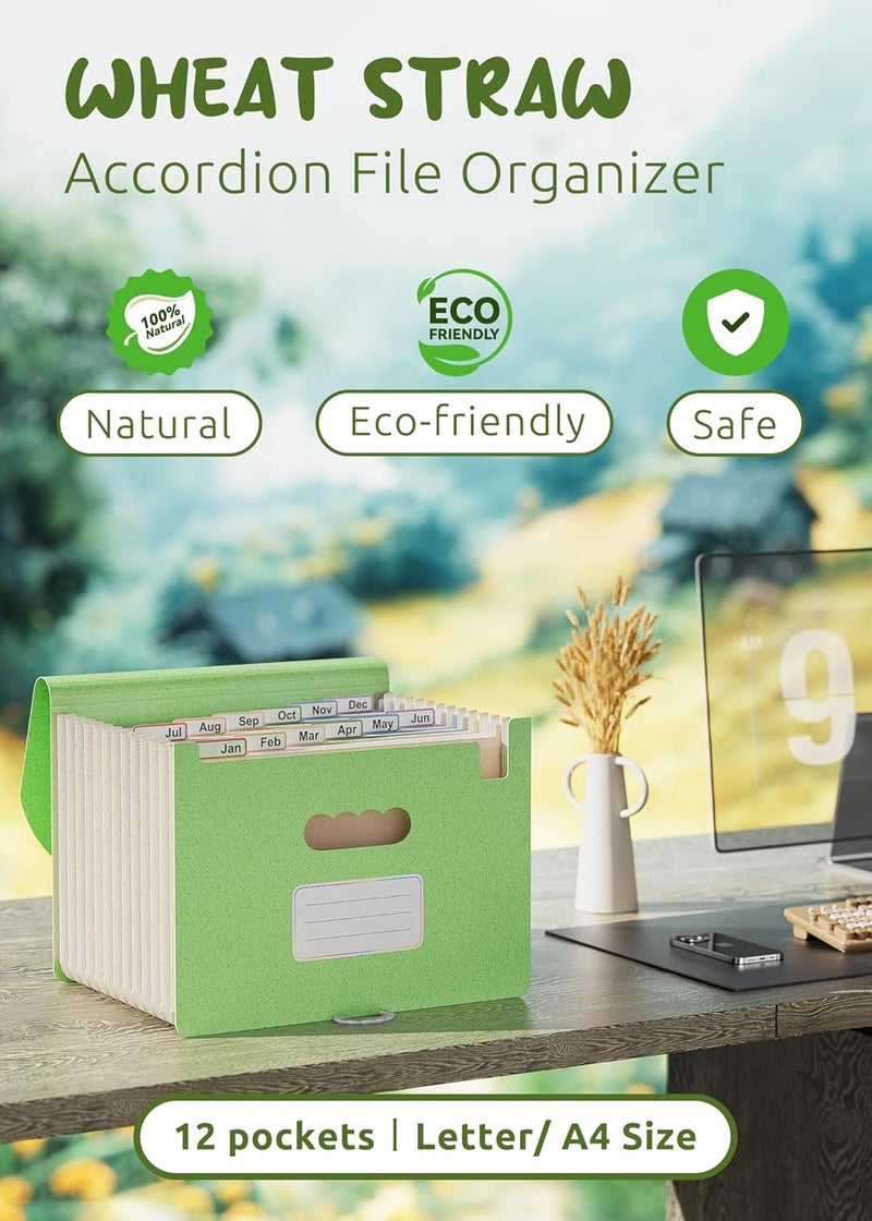 مجلد وثائق EcoStash، مقاس A4، يحتوي على 12 تجويفًا، مصنوع من قش القمح، قابل للتوسعة، مجلد ترتيب، مجلد ملون لتنظيم الملفات، مجلد من نوع أكورديون، خالي من مادة BPA، يعكس روح العودة إلى الطبيعة ونمط الحياة الصحي، بلون أخضر نعناعي. - Image 2