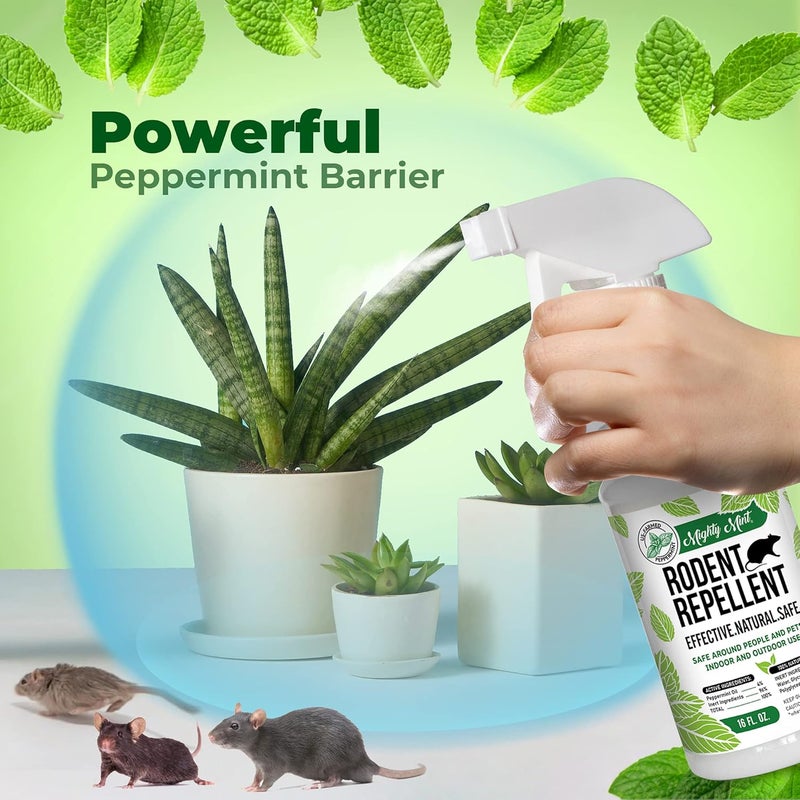 Mighty Mint Peppermint Oil Rodent Repellent Spray – Natural Indoor & Outdoor Control for Mice and Rats – Plant-Based, Extra-Strong Formula - 16 oz - Image 2