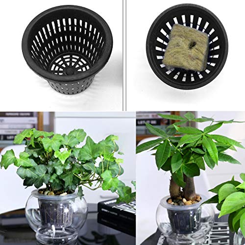 Iceyyyy 76Pcs Hydroponics Mesh Net Cup Kit - 20 Packs 2 Inches Slotted Mesh Net Pot Cups, 36Packs 1.5x1.5x1.5Inch Stonewool Starter Plugs, 20 Article Self Watering Cotton Wick Cord for Hydroponics - Image 3