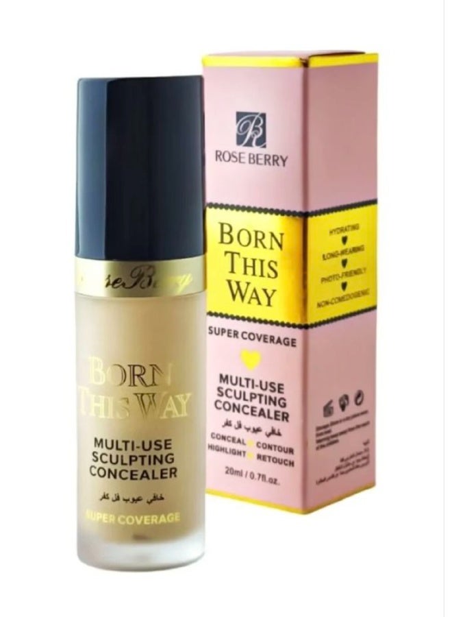 Rose Berry Born This Way Super Coverage Multi-Use Sculpting Concealer-03 - Image 1