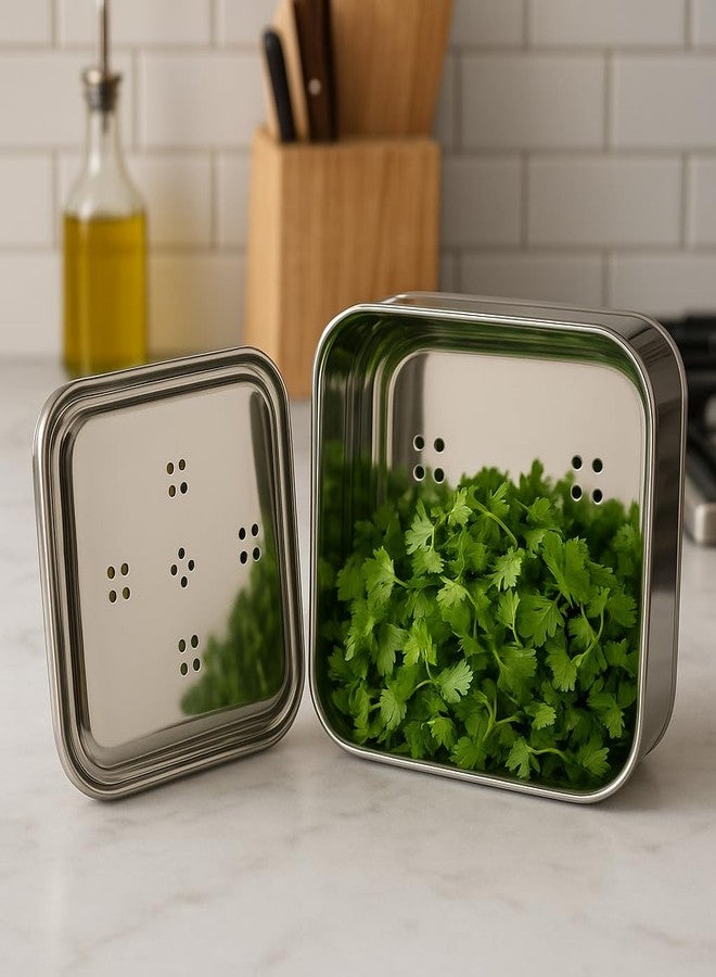 DiBha Stainless Steel Rectangle Shape Box for Kothmir/Dhaniya/Coriander Multipurpose Dabba Storage Box for Kitchen, Color - Silver Set of 1 (Capacity - 500ml) - Image 3