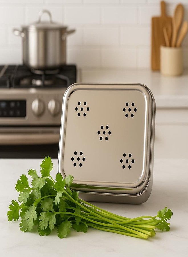 DiBha Stainless Steel Rectangle Shape Box for Kothmir/Dhaniya/Coriander Multipurpose Dabba Storage Box for Kitchen, Color - Silver Set of 1 (Capacity - 500ml) - Image 2