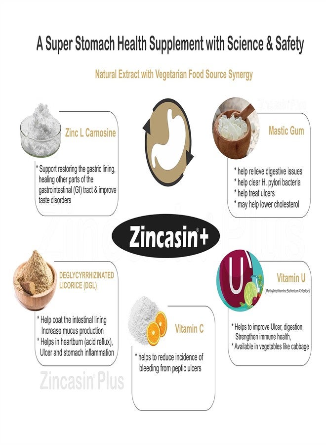 Zincasin +Plus Advanced Digestive Tract Lining Repair Aid | Gut Mucosal Barrier Enhancer for Nutrient Absorption, Gastric Discomfort, Leaky Gut, Stomach Ulcer, H.pylori Support | Zinc L-Carnosine, DGL Licorice Root Extract, Mastic Gum, Vitamin U & C - 30 Tablets LeeWell Pharma - Image 2