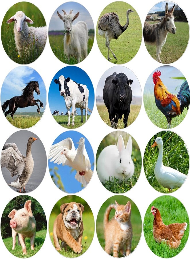 Hohamn Farm Animal Stickers Roll for Kids 1.5 Inch 600Pcs Round Farm Animals Label Stickers for Boys Girls Birthday Party Favors Gifts Decoration Teachers Student Classroom Reward - Image 1