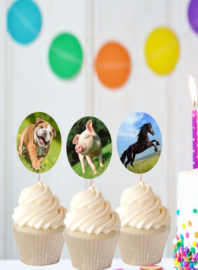 Hohamn Farm Animal Stickers Roll for Kids 1.5 Inch 600Pcs Round Farm Animals Label Stickers for Boys Girls Birthday Party Favors Gifts Decoration Teachers Student Classroom Reward - Image 5