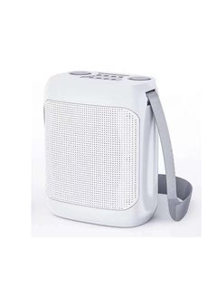 YS YS-220 Outdoor Karaoke Speaker Big Strap Speaker With Dual UHF Wireless Microphone  - Image 1