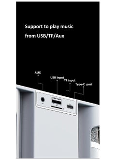 YS YS-220 Outdoor Karaoke Speaker Big Strap Speaker With Dual UHF Wireless Microphone  - Image 2