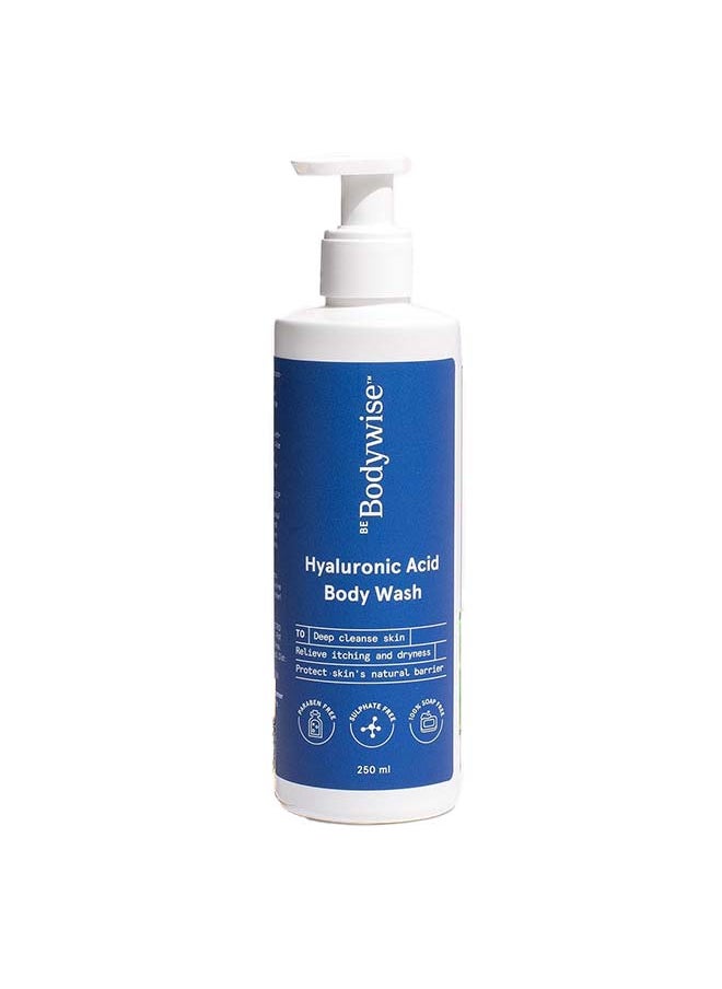 Be Bodywise - Hyaluronic Acid Body Wash With Aloe Vera Extract Gentle And Suitable For All Skin Types - Image 1